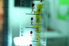 207690863 e5e48c8013 m