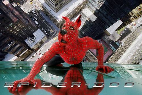 292620404 351361264d