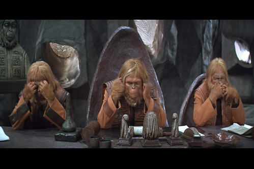 292049884 768909550a