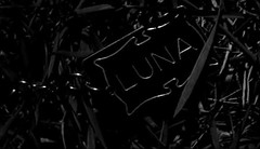 433827468 b0b49deb29 m