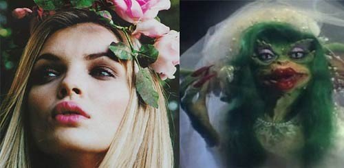 433849848 831f37c2a1