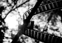 466641998 94bfa291d4 m