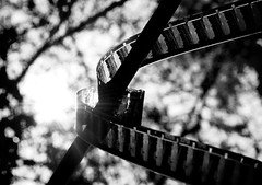 466641998 94bfa291d4 m