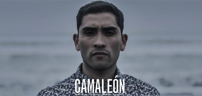 Camaleón